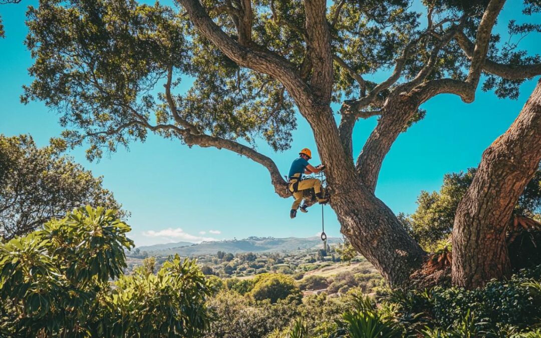 Pourquoi choisir un élagueur à Buron pour l’entretien de vos arbres ?