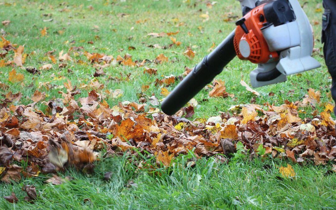 L’automne, la saison idéale pour entretenir votre jardin à Buron